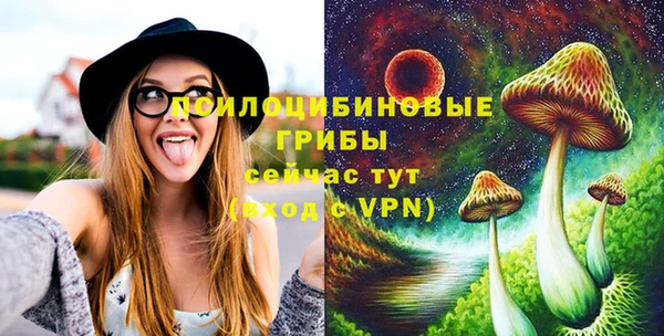 винт Вяземский